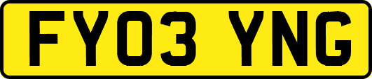 FY03YNG