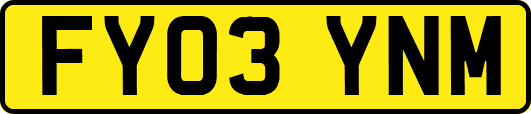 FY03YNM