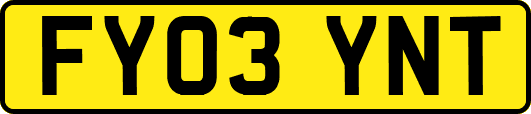 FY03YNT