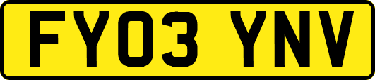 FY03YNV