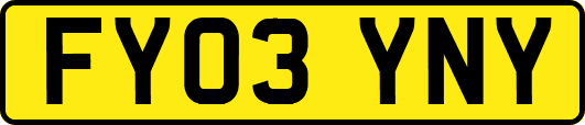 FY03YNY