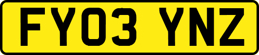 FY03YNZ