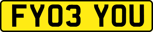 FY03YOU