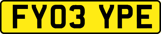 FY03YPE