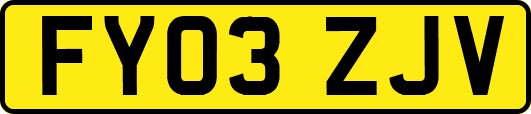 FY03ZJV