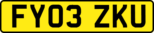 FY03ZKU