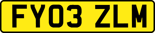 FY03ZLM