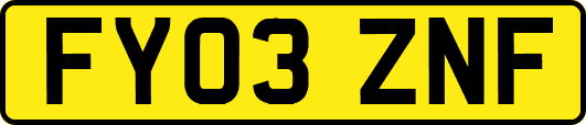 FY03ZNF