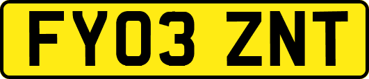 FY03ZNT