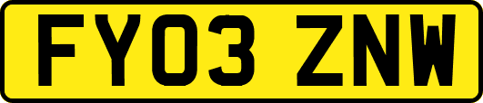 FY03ZNW