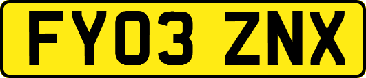 FY03ZNX