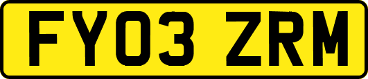 FY03ZRM