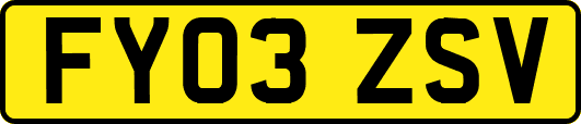 FY03ZSV