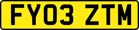 FY03ZTM