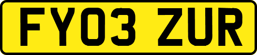 FY03ZUR