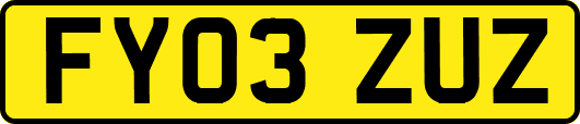 FY03ZUZ