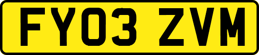FY03ZVM