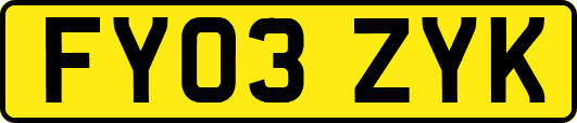 FY03ZYK