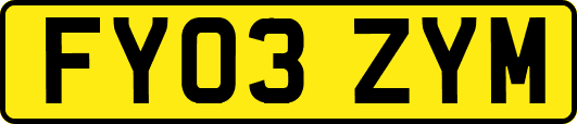 FY03ZYM