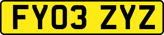 FY03ZYZ
