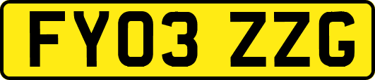 FY03ZZG