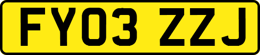 FY03ZZJ