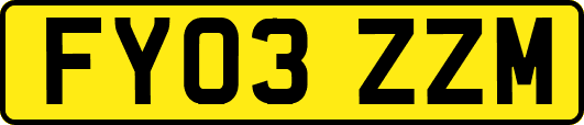FY03ZZM