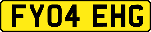 FY04EHG