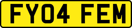 FY04FEM