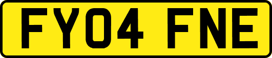 FY04FNE