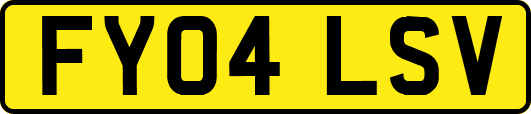 FY04LSV