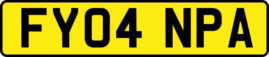 FY04NPA