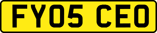 FY05CEO