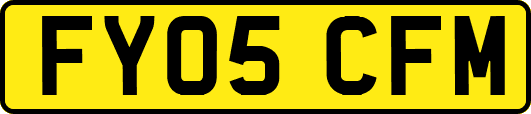 FY05CFM