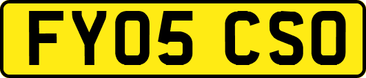 FY05CSO