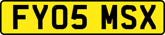 FY05MSX