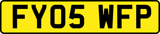 FY05WFP