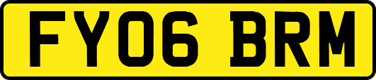 FY06BRM