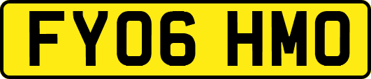 FY06HMO