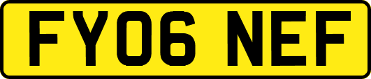 FY06NEF