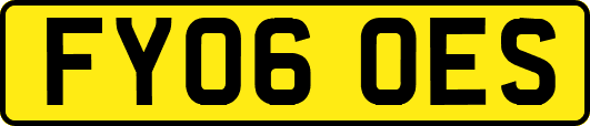 FY06OES