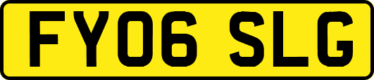 FY06SLG