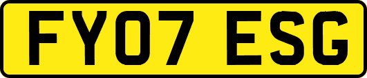 FY07ESG