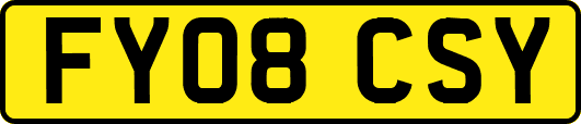 FY08CSY