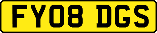 FY08DGS