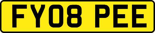FY08PEE