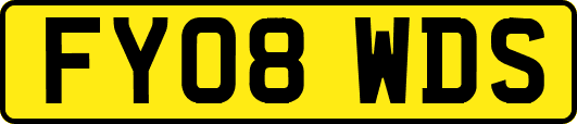 FY08WDS