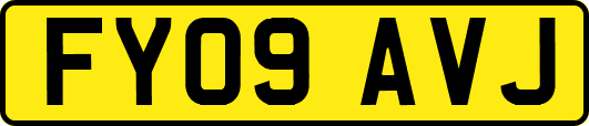 FY09AVJ