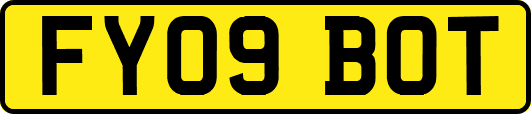 FY09BOT