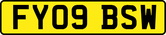 FY09BSW